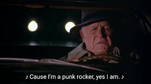 Cause I'm a punk rocker, yes I am.