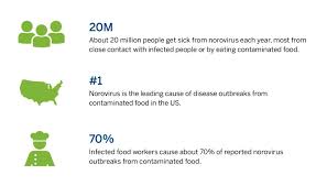 From wikipedia, the free encyclopedia. What You Should Know About Norovirus The Leading Cause Of Foodborne Illness In The Us Biomerieux Connection
