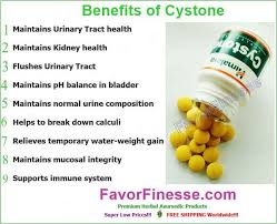 Cystone Himalaya For Urinary Tract Kidneys Stone Calculi Prevention Urinary Tract Calculus Herbal Blends