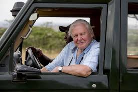 In diesem zeitraum wurde er zeuge der veränderung unseres planeten. Bild Von David Attenborough Mein Leben Auf Unserem Planeten Bild 5 Auf 11 Filmstarts De