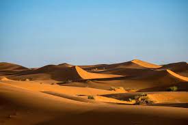 Download Beautiful Shot Of Sand Dunes With Bushes And A Clear Sky For Free Camping Experience Nature Images Download Scenic Photography