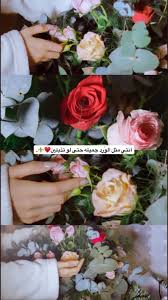 pin by صمتي حكايہ on سنابات rose love quotes wallpaper iphone wallpaper grunge