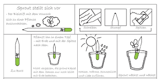 Damit ist das grillen eine der ältesten methoden der nahrungszubereitung. Sprout Bleistift Zum Einpflanzen Avocadostore