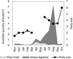 Image result for Grewia rugosifolia