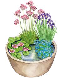 Schritt für schritt mit material für den miniteich ist zuerst ein wasserdichtes gefäß wichtig, das kann z.b. Mini Teich Planen Anlegen Und Tipps Mein Schoner Garten