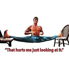 Image result for Van Damme split
