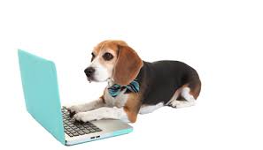 Check spelling or type a new query. Pet Sitter Jobs Petbacker