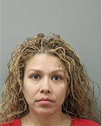 ᐅ Illinois Criminal Records 2009-2025