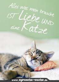 Katzenspruche Spruche Katze Katzenspruche Katzen Lustige Spruche