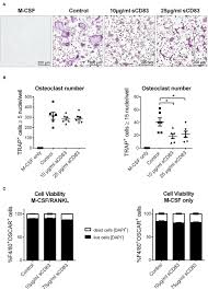 Go on to discover millions of awesome videos and pictures in. Frontiers Soluble Cd83 Triggers Resolution Of Arthritis And Sustained Inflammation Control In Ido Dependent Manner Immunology