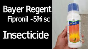 Fipronil 05 % sc #regent gr #agadi sc #adam products. Bayer Regent Sc Fipronil 5 Sc Insecticide Bayer Regent Work Doze Price Result All Information Youtube