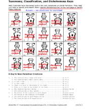 .traits gizmo answer key liceolefilandiere, evolution mutation and selection gizmo quiz answer key, mouse genetics one trait gizmo answer for mouse genetics rims ruforum. Alien Genetics Answer Key Puzzling Adventures Alien Genetics Problem 3 Solution