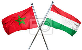 Le drapeau de la hongrie est le drapeau civil, le drapeau d'état, le pavillon marchand et le pavillon d'état de la hongrie. Maroc Drapeau Hongrie Drapeau 3d Rendre Peintures Murales Tableaux Amitie Accords Hongrois Myloview Fr