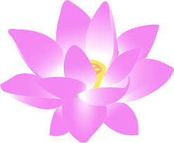 If you want to use this image on holiday posters, business flyers, birthday invitations, business coupons, greeting cards, vlog covers, youtube videos, facebook / instagram marketing etc, please contact the uploader. Flower Water Lily Free Vector Graphic On Pixabay