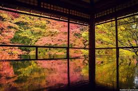 瑠璃光院のリフレクション 紅葉 風景 風景 リフレクション