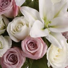 Citiflowers proudly serves silver spring and surrounding areas. Kensington Florist Silver Spring Florist Hoover Fisher Florist