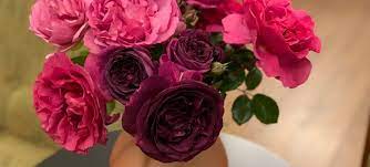 Maybe you would like to learn more about one of these? Wyoming Stuyvesant Floral Grand Rapids Flower Delivery
