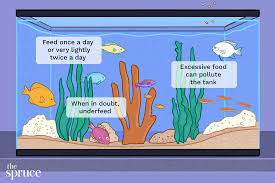 Of live feeder fed nauplii as. Determining How Much To Feed Aquarium Fish