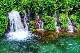 Kumpulan gambar air terjun setelah melewati pintu masuk dan membayar tiket kamu akan segera disuguhkan pemandangan yang saya jamin akan membuatmu kagum. Pesona Keindahan 13 Air Terjun Di Jawa Timur Ini Siap Menyihirmu