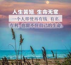 人生苦短 生命无常 desktop screenshot screenshots