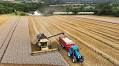 Franco-Algerian Diplomatic Crisis Hits Wheat Trade Hard