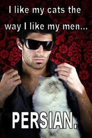 Pin By Jaimie Atencio On The Man Has Style Persian Beauties Persian Culture Persian