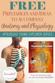 In this anatomy course, part of the anatomy xseries, you will learn how the components of the integumentary system help protect our body (epidermis, dermis, hair, nails, and glands), and how the musculoskeletal system (bones, joints, and skeletal muscles) protects and allows the body to move. Tons Of Free Printables For Apologia S Elementary Anatomy Book Homeschool Giveaways