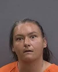 Nearly 70 new Hillsborough County Jail arrests mugshots from Sunday  11/17/2024. See them all here: https://tbcrimes.com/2024/11/17