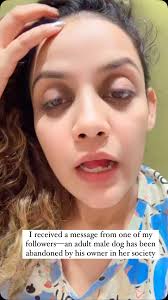 Give Him the Life He Lost🐕 , Because Kindness Has No Limits💝, I received  a message from one of my followers—an adult male dog has been abandoned by  his owner in her society. I already have two rescued ...