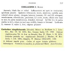 Image result for Coelachne