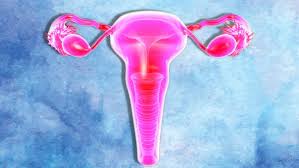 So Your Pap Smear Results Were Abnormal Now What Stylecaster Pap Smear Results Pap Smear Abnormal Pap