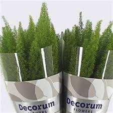 Pin On Greenery Foliage