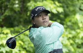 Lydia ko has an estimated net worth of $8 million. Richest Female Golfers And Their Net Worth Top List Attention Trust
