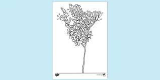 Free printable coloring pages for adults. Free Realistic Flower Colouring Colouring Sheets