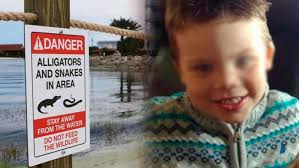 Los detalles de la muerte del nene atacado por un caimán en Disney