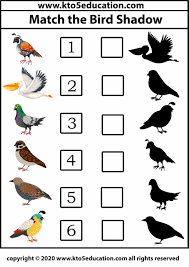 Match The Bird Shadow 2 Worksheet Template In 2020 Worksheet Template Worksheets Tracing Worksheets