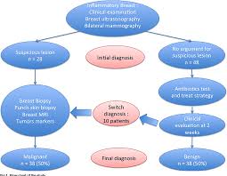 Use the menu to see other pages. Figure 2 From Incidence Of Inflammatory Breast Cancer In Patients With Clinical Inflammatory Breast Symptoms Semantic Scholar