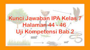 Kunci Jawaban Ipa Kelas 7 Halaman 44 46 Uji Kompetensi 2 Youtube