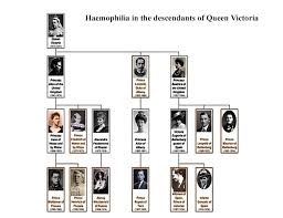 Queen victoria and the royal family. Learn Sex Linked Recessive Disorders In 4 Minutes