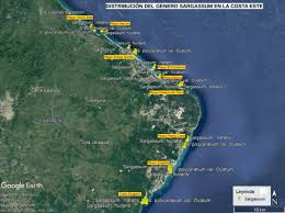 Also included in the territory of the dominican republic are many small islands and cays, including saona and beata to the south. Map Of The Study Region And Distribution Of Sargassum In The Dominican Download Scientific Diagram