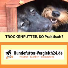 pin auf hunde trockenfutter aber welches