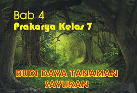 Download soal pts uts mid semester kelas vii smp semester 2 (genap) pai, ipa, matematika, bahasa indonesia inggris, ips, pkn, penjasorkes, prakarya, seni budaya. Bab 4 Soal Ujikom Prakarya Kelas 7 Semester 1 Blog Kang Hamzah