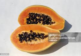 Image result for Caricaceae