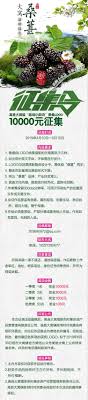 The site owner hides the web page description. 10000å…ƒå¥–é‡'ç­‰ç€ä½  å¿«æ¥è®¾è®¡æ¡'è'šlogoèµ¢å¤§å¥– å®œå®¾æ–°é—»ç½'
