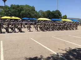 Department Of Transport On Twitter Traffic Officers Passout Parade At The Boekenhoutkloof Traffic Training College Governmentatwork Gautengatwork Sindichikunga David Makhura Governmentza Gautengprovince Gp Commsafety Https T Co Vr6pbj2x3c