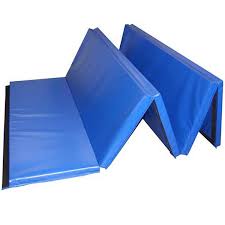 They can help with rolls, walkovers, handstands there are four main things to consider when purchasing the best gymnastics mats for your home. Greatmats Folding 5 Ft X 10 Ft X 2 In Blue 18 Oz Vinyl And Foam Gymnastics Mat Fm5102v4blu The Home Depot