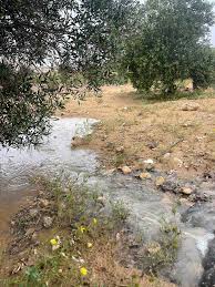 سيول متفرقة فى شمال سيناء نتيجة تراكم مياه الأمطار.. صور ...