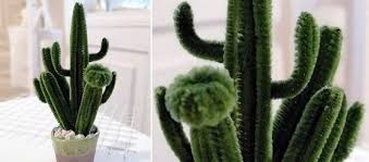 Para decorar el cactus, recortas las flores y los círculos y el proceso es el mismo. Diy Como Hacer Un Cactus Con Limpiapipas Patrones Gratis