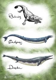 Wikipedia has a more complete and scholarly list of names here. 45 Plesiosaurios Ideas Loch Ness Monster Extinct Animals Prehistoric Animals
