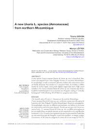 Image result for Uvaria rovumae